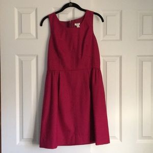 J. Crew Dress